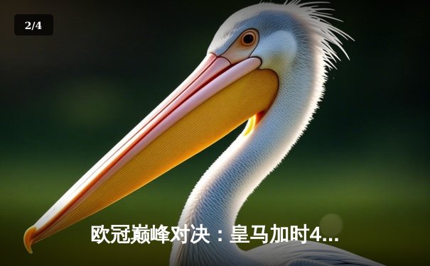 欧冠巅峰对决：皇马加时4-3绝杀拜仁，本泽马双响导演奇迹逆转 - 2